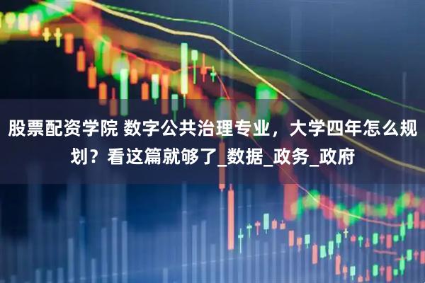股票配资学院 数字公共治理专业，大学四年怎么规划？看这篇就够了_数据_政务_政府