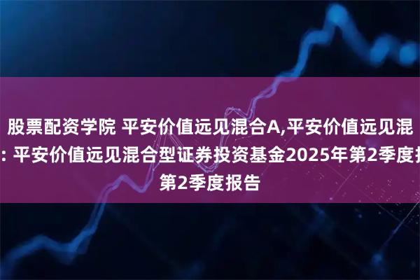 股票配资学院 平安价值远见混合A,平安价值远见混合C: 平安价值远见混合型证券投资基金2025年第2季度报告