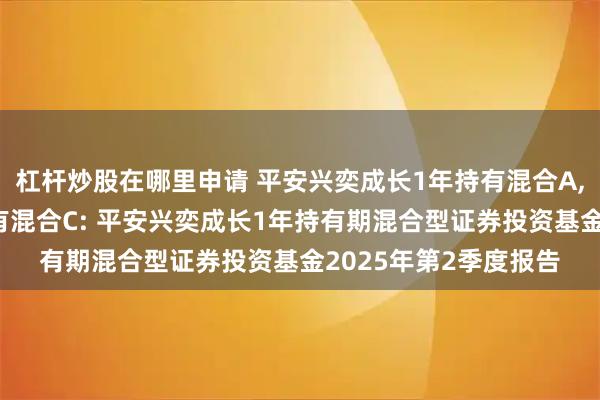 杠杆炒股在哪里申请 平安兴奕成长1年持有混合A,平安兴奕成长1年持有混合C: 平安兴奕成长1年持有期混合型证券投资基金2025年第2季度报告