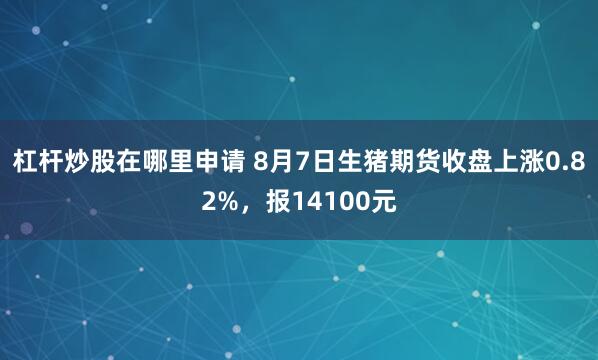 杠杆炒股在哪里申请 8月7日生猪期货收盘上涨0.82%，报14100元